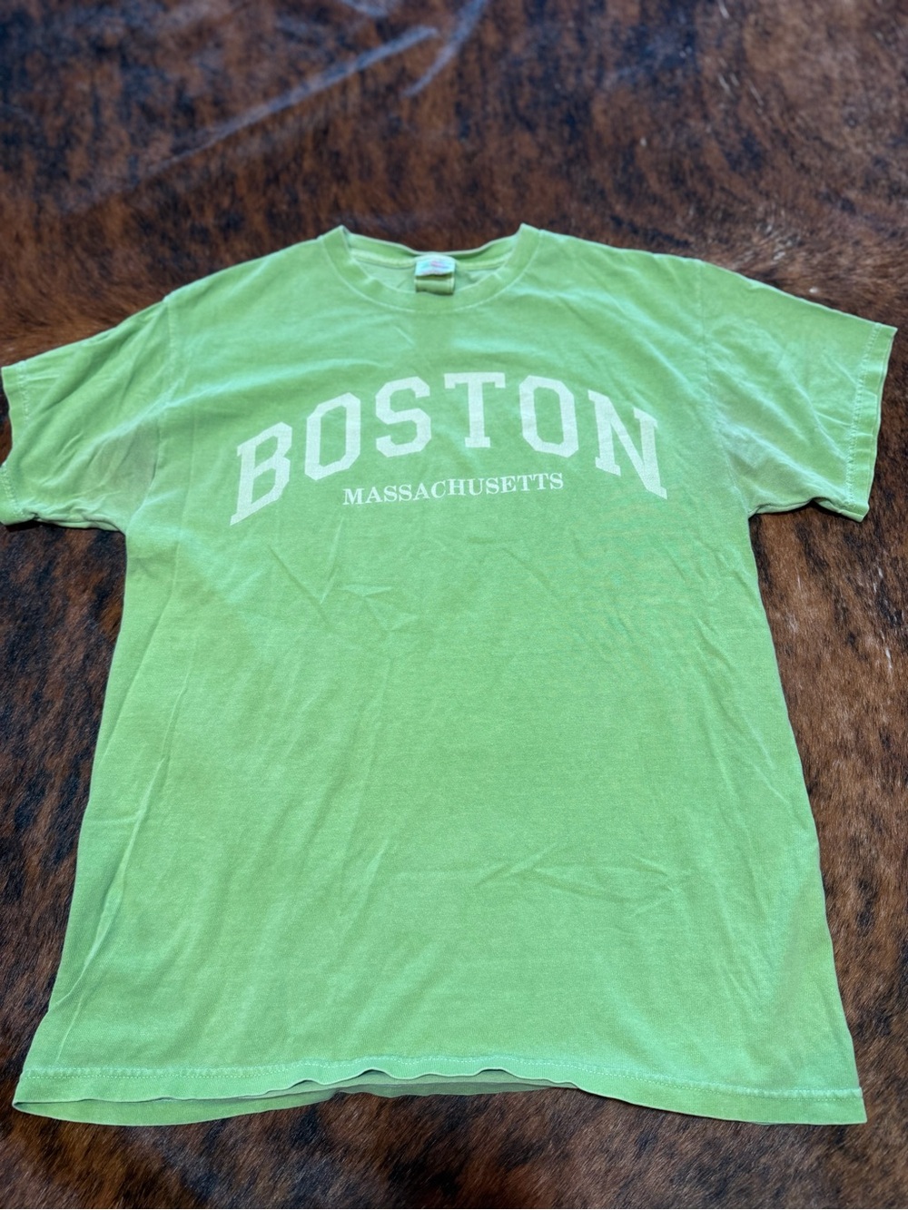 Vintage 90s Boston Massachusetts T Shirt Made In USA Fruit Of The Loom Medium
